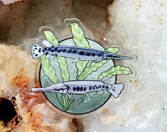 Acrylic Pin - Florida Gar Fish - Made with Recycled Materials - Spotted Florida Alligator Gar Freshwater River Monster Monsters