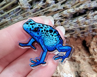 Acrylic Pin - Blue Poison Dart Frog - Made with Recycled Materials - Reptile Amphibian Cute Gift Dendrobatidae Rainforest