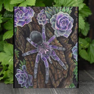 Purple Bloom Tarantula Art Print: Spider & Succulent Garden