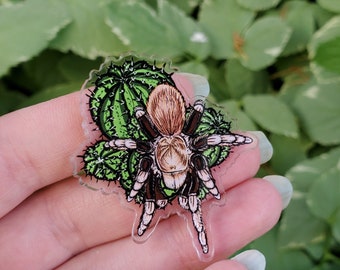 Acrylic Pin -Aphonopelma chalcodes Tarantula with Cactus - Made with Recycled Materials - Arizona Blonde Arachnid Spider Bug Insect