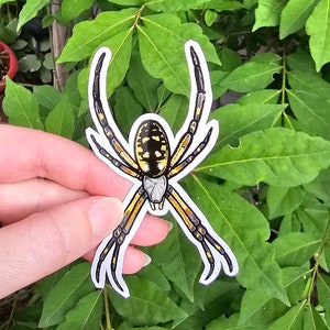 以下が含まれることがあります： 黄色と黒のガーデンクモのイラストが描かれたステッカー。足が広げられています。クモは緑の葉の背景に配置されています。ステッカーには白い縁取りがあります。