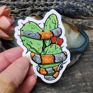 Gray Banded Kingsnake Sticker - 3 inch glossy sticker - Reptile Gray Grey Snake Cactus Optunia Paddle Art Drawing