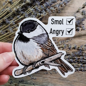 Smol and Angry Black Capped Chickadee Sticker - 4 inch glossy waterproof sticker -  Wild Bird Birding Cottagecore Art Drawing Finch