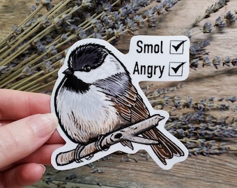 Smol and Angry Black Capped Chickadee Sticker - 4 inch glossy waterproof sticker -  Wild Bird Birding Cottagecore Art Drawing Finch