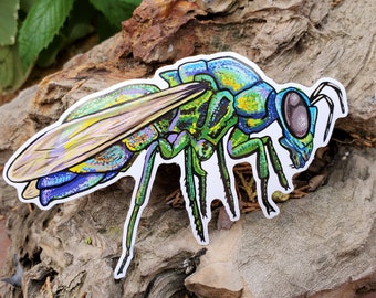 Chrysididae Cuckoo Wasp - Glossy Waterproof 4 inch Sticker - Wasp Bee Pollination Pollinator Garden Plants Leaves Artwork Water Bottle