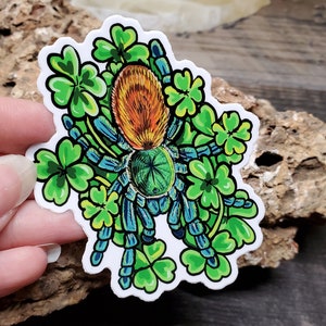 Lucky Clover Green Bottle Blue Sticker 3 inch glossy sticker Tarantula GBB Insect Bug Arachnid Art Chromatopelma cyaneopubescens image 3