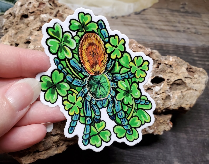 Lucky Clover Green Bottle Blue Sticker 3 inch glossy sticker Tarantula GBB Insect Bug Arachnid Art Chromatopelma cyaneopubescens image 3