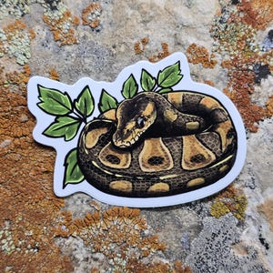 May include: A sticker depicting a coiled snake with a detailed pattern of brown, tan, and black scales. The snake is encircled by green leaves, set against a white background. The sticker is likely for decorative purposes.