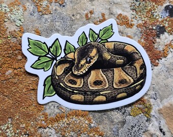 May include: A sticker featuring a coiled snake with a detailed pattern of brown, tan, and black scales. The snake is surrounded by green leaves, all set against a white background. The sticker is likely for decorative purposes.