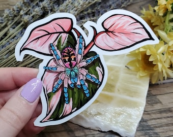 T. Seladonia Tarantula Sticker: Pink Princess Philodendron, Waterproof Vinyl