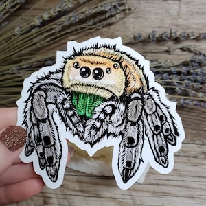 Jumping Spider Sticker: Bold Arachnid Art Decal - 4 inch