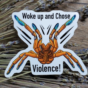 Woke up and Chose Violence OBT Orange Baboon Tarantula Sticker 3.75 inch glossy sticker Insect Bug Arachnid Pterinochilus murinus image 2