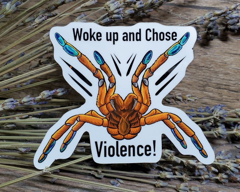 Woke up and Chose Violence OBT Orange Baboon Tarantula Sticker 3.75 inch glossy sticker Insect Bug Arachnid Pterinochilus murinus image 2