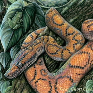 May include: A colorful illustration of a snake curled around a tree branch. The snake has orange, brown, and black scales. A green frog is perched on a leaf in the background. The artwork is signed "Gray Ghost Creations" and "Laura Strey Le".