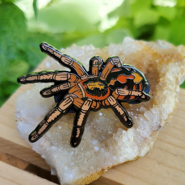 Hard Enam Pin -  Hapalopus sp. Colombia Pumpkin Patch Tarantula - Spider Bug Insect Orange Halloween Arachnid Spider Accessory Naturecore