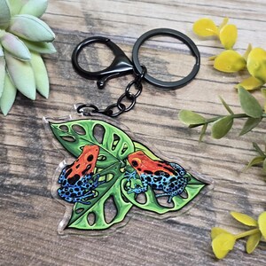 Puede incluir: Un llavero acrílico transparente con dos coloridas ranas dardo venenosas sobre una hoja verde. Las ranas tienen marcas rojas y azules. El llavero tiene un cierre y un anillo negros.