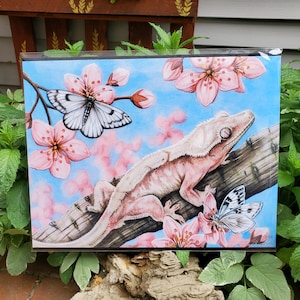 May include: A watercolor painting of a pink and white crested gecko on a branch with pink cherry blossoms and white butterflies. The gecko is perched on a branch with its tail curled around the branch. The cherry blossoms are in full bloom and the butterflies are flying around the gecko.