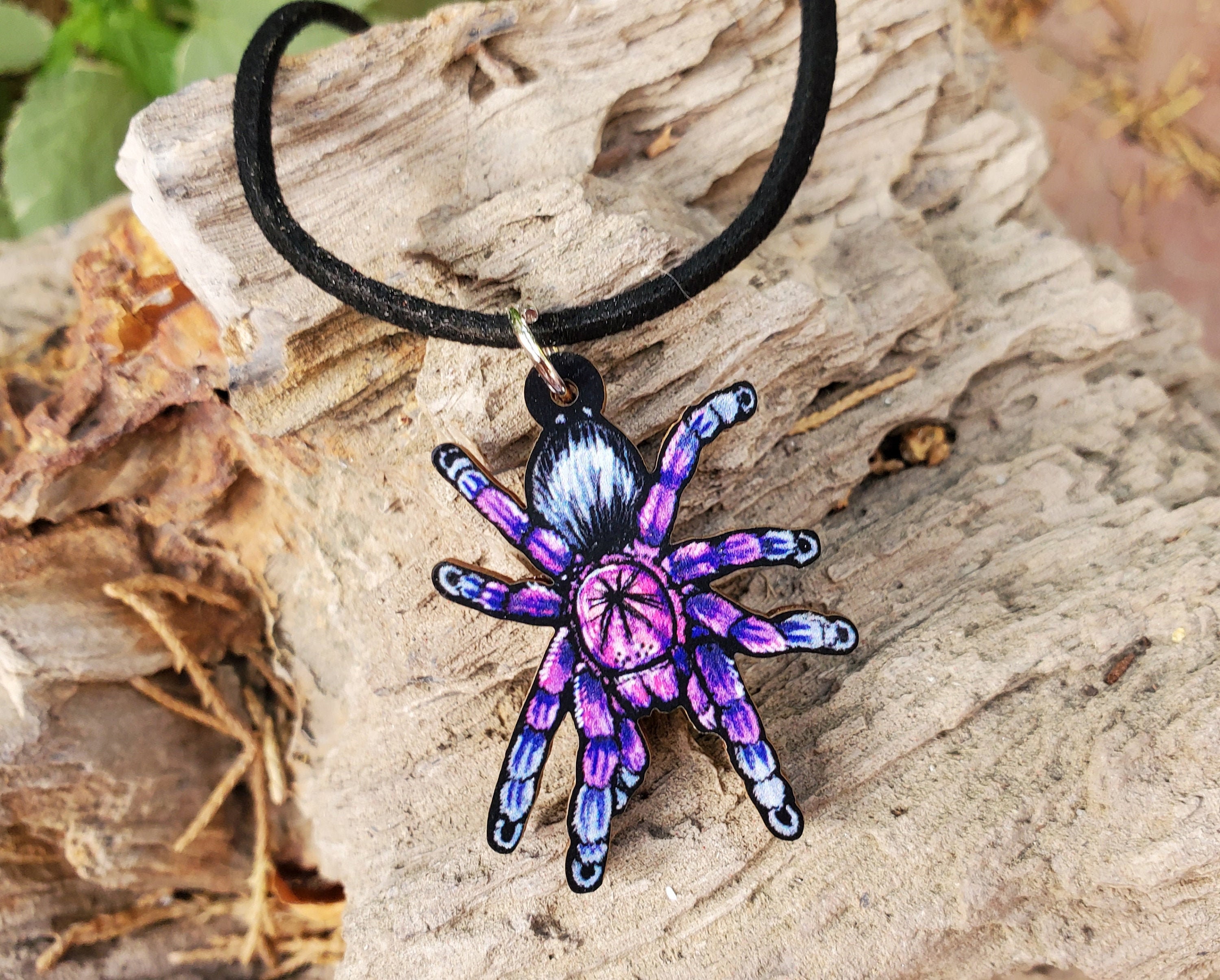 Brazilian Pinkbloom Tarantula Pamphobeteus Platyomma - Etsy