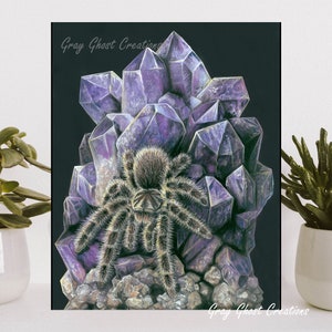 Curly Hair Tarantula on Amethyst - Fine Art Print - By Laura Airey Le - Tliltocatl albopilosus Metaphysical Purple Pastel Colored Pencils