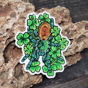 Lucky Clover Green Bottle Blue Sticker 3 inch glossy sticker Tarantula GBB Insect Bug Arachnid Art Chromatopelma cyaneopubescens image 2