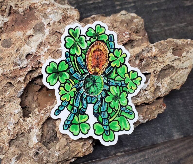 Lucky Clover Green Bottle Blue Sticker 3 inch glossy sticker Tarantula GBB Insect Bug Arachnid Art Chromatopelma cyaneopubescens image 2