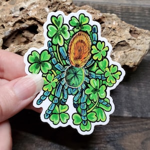 Lucky Clover Green Bottle Blue Sticker 3 inch glossy sticker Tarantula GBB Insect Bug Arachnid Art Chromatopelma cyaneopubescens image 1