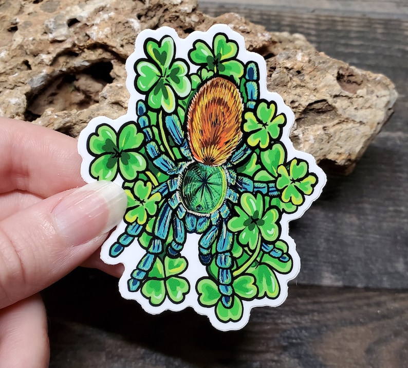 Lucky Clover Green Bottle Blue Sticker 3 inch glossy sticker Tarantula GBB Insect Bug Arachnid Art Chromatopelma cyaneopubescens image 1