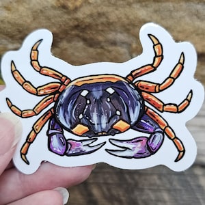 May include: A sticker of a cartoon crab with orange and yellow legs, a purple body, and a black and white shell.