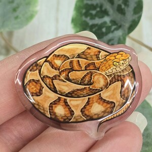 Broche acrylique - Serpent à tête de cuivre - Tête de reptile cuivrée venimeuse