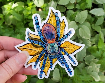 Dolichothele diamantinensis with Leaves Tarantula Sticker - 4 inch glossy sticker - Dwarf Tarantula Insect Bug Arachnid Art Drawing