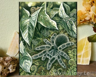 Curly Hair Tarantula - Fine Art Print - By Laura Airey Le - Tliltocatl albopilosus Hawk Moth Albo Arrowhead Plants Pastel Colored Pencils