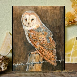 Barn Owl Art Print: Signed Watercolor Pencil Drawing