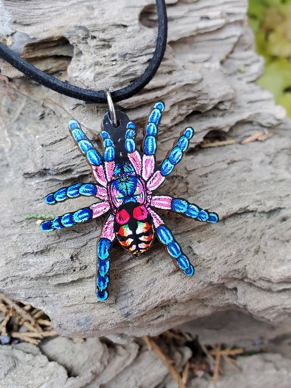 Brazilian Jewel Tarantula Typhochlaena Seladonia Wooden Etsy