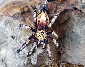 Arizona Blonde Tarantula - Aphonopelma chalcodes  - Wooden Pendant and Necklace
