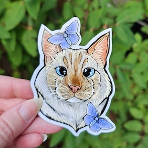 May include: A white and orange cat with blue eyes and a white and blue butterfly on its head. The cat is looking at the camera. The background is a blurry green.