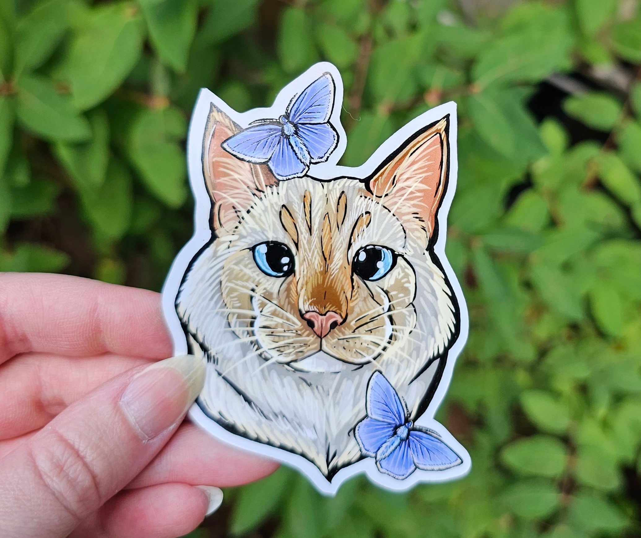 Cat Stickers Sticker for Sale by meshellg12