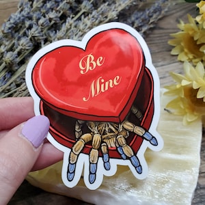 Idiothele mira Tarantula in Valentines Day BoxSticker - 3.5 inch glossy waterproof sticker -  Spider Insect Bug Arachnid Be Mine Gift