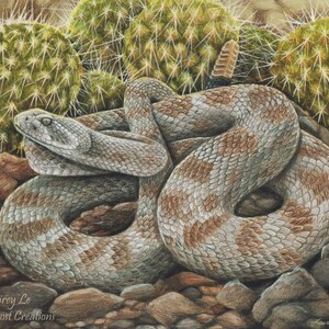 Konsttryck av prärieskallerorm: Colorados inhemska reptil