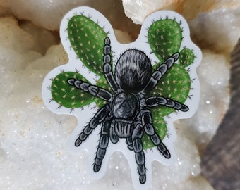 Grammastola Pulchra with Cactus Sticker - 2.5 inch glossy sticker -  Tarantula Brazilian Black Insect Bug Arachnid Rainbow Art Drawing