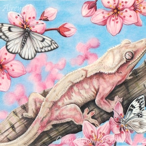 May include: A pink crested gecko perched on a branch with white and black butterflies and pink cherry blossoms against a blue sky.