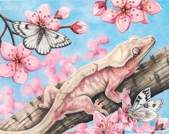 Peut inclure: Un gecko à crête rose perché sur une branche avec des papillons blancs et noirs et des fleurs de cerisier roses sur un fond de ciel bleu.