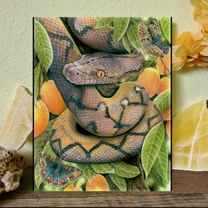 Peut inclure: Une illustration détaillée d'un serpent brun et noir enroulé autour d'une branche avec des feuilles vertes et des fruits jaunes. Le serpent a un motif brun clair et noir et un grand œil rond. Il y a deux papillons en arrière-plan, l'un avec des ailes brunes et noires et l'autre avec des ailes bleues et noires.