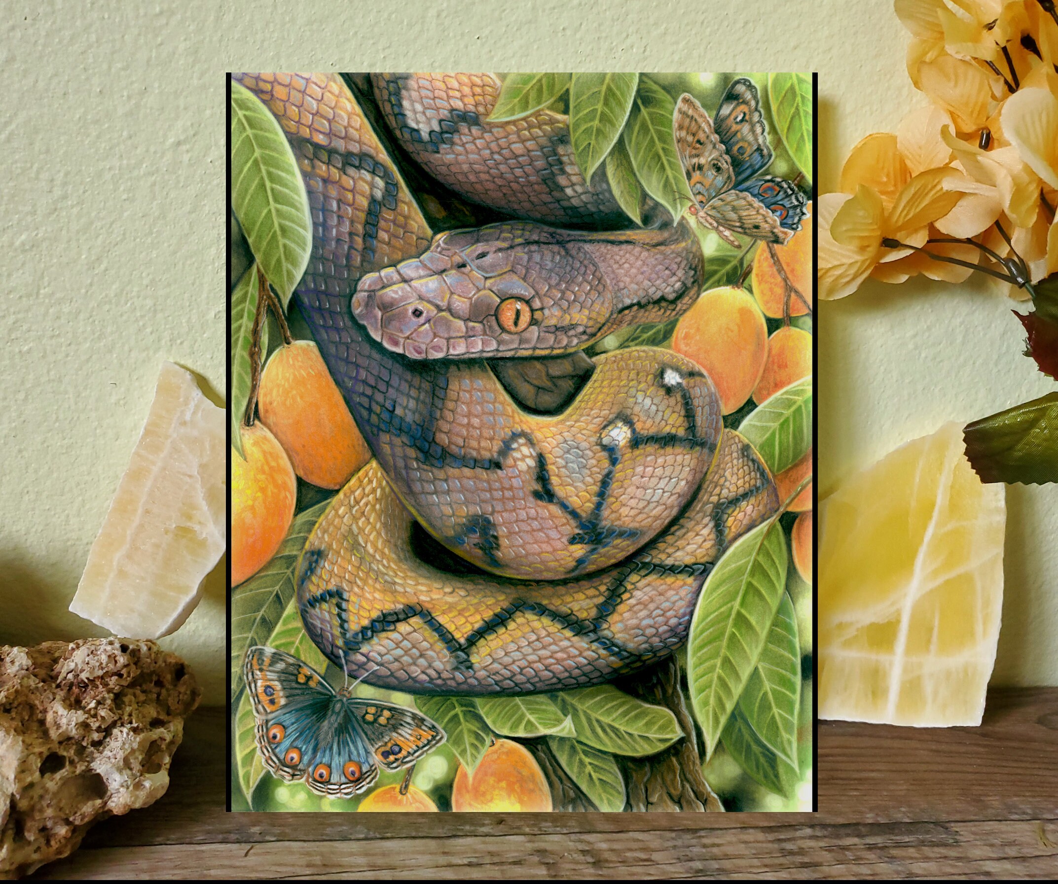 Kali the Sunfire Reticulated Python  - Fine Art Print - By Laura Airey Le - Retic Super Dwarf SD Nature Marian Plum Butterfly Tree Sun