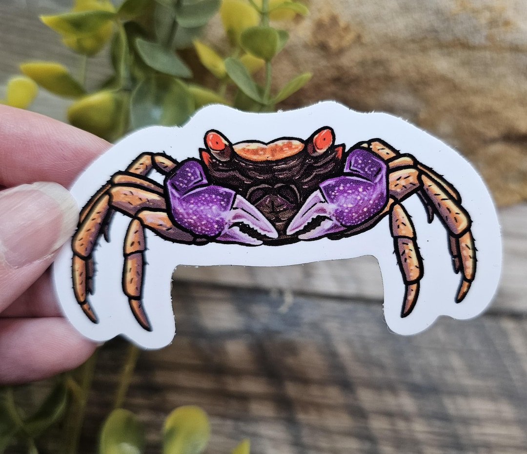 Vampire Crab - 3.25 Inch Waterproof Sticker - Ocean Sea Forest Floor ...