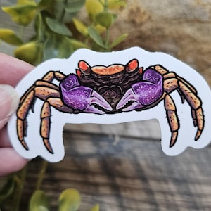 May include: A sticker of a purple and orange crab with detailed claws and legs. The crab is facing forward with its claws raised.
