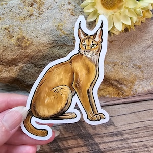 Caracal Cat Sticker: Glossy Waterproof Feline Art (4 inch)