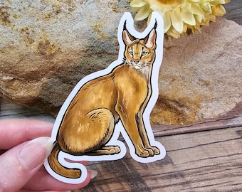 May include: A sticker featuring a detailed illustration of a brown and tan Caracal, a wild cat with distinctive long ear tufts, sitting with its tail curled around its legs.