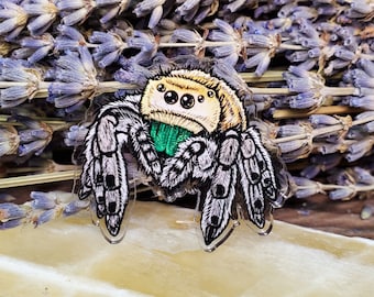 Acrylic Pin - Bold Jumping Spider - Made with Recycled Materials - Jumper Arachnid Tarantula Bug Insect Cute Dancing Jumper Green