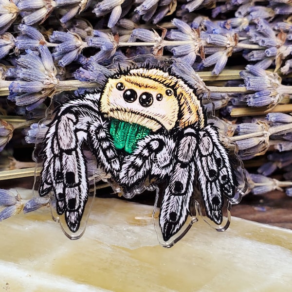 Acrylic Pin - Bold Jumping Spider - Made with Recycled Materials - Jumper Arachnid Tarantula Bug Insect Cute Dancing Jumper Green