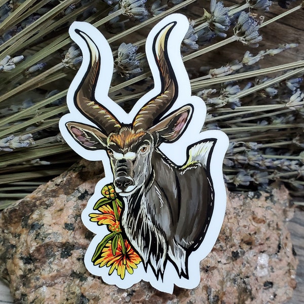 Majestic Nyala African Antelope Sticker - 4 inch glossy waterproof sticker -  Wild Cottagecore Art Drawing Deer Hoof Wildlife Nature